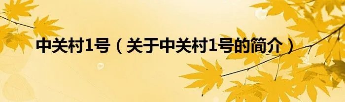 中关村1号（关于中关村1号的简介）