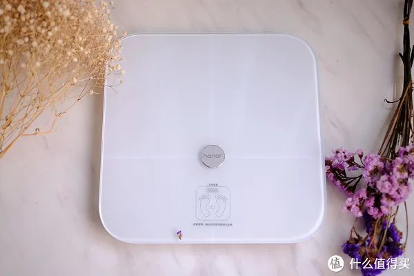 测出你身体年龄的魔秤 — Honor 荣耀 体脂秤初体验