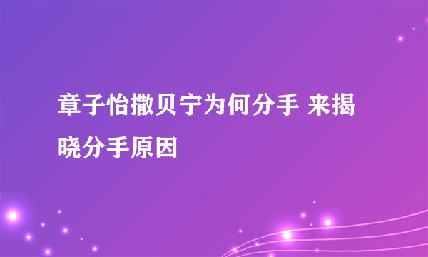 章子怡撒贝宁为何分手 来揭晓分手原因