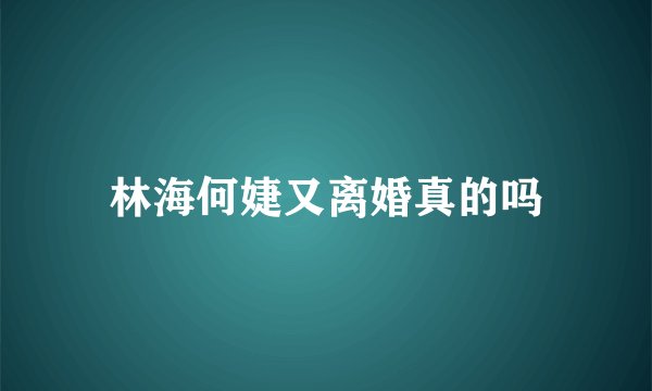 林海何婕又离婚真的吗