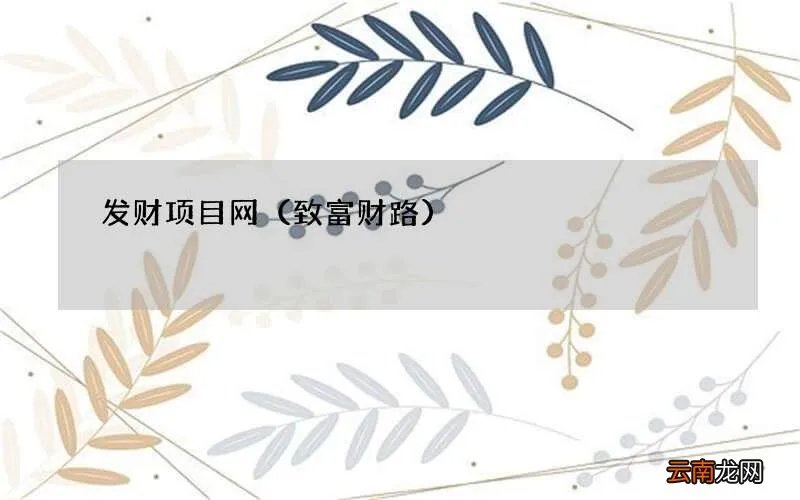 致富财路 发财项目网