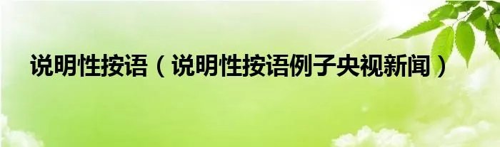 说明性按语（说明性按语例子央视新闻）