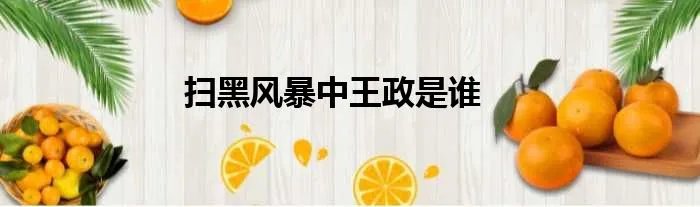扫黑风暴中王政是谁