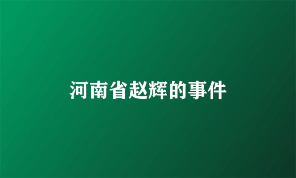 河南省赵辉的事件