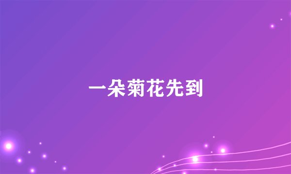 一朵菊花先到