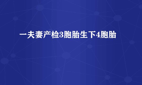 一夫妻产检3胞胎生下4胞胎