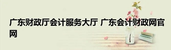 广东财政厅会计服务大厅 广东会计财政网官网