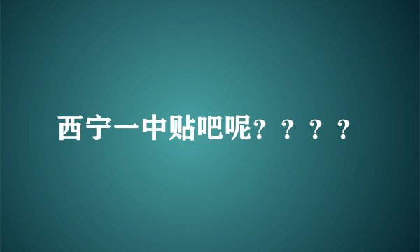 西宁一中贴吧呢？？？？
