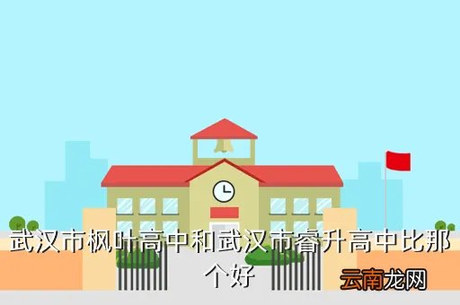 武汉睿升初中的升学率，武汉市枫叶高中和武汉市睿升高中比那个好