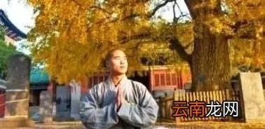 如何入定修炼,如何打坐入定