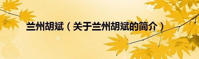 兰州胡斌（关于兰州胡斌的简介）