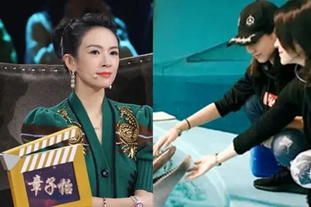 章子怡为醒醒庆生 一家四口气氛温馨