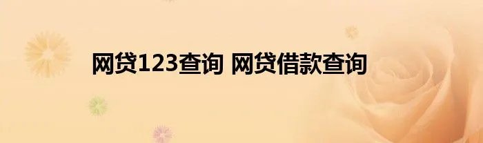 网贷123查询 网贷借款查询