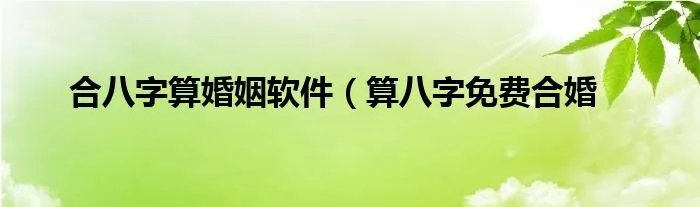 合八字算婚姻软件(算八字免费合婚