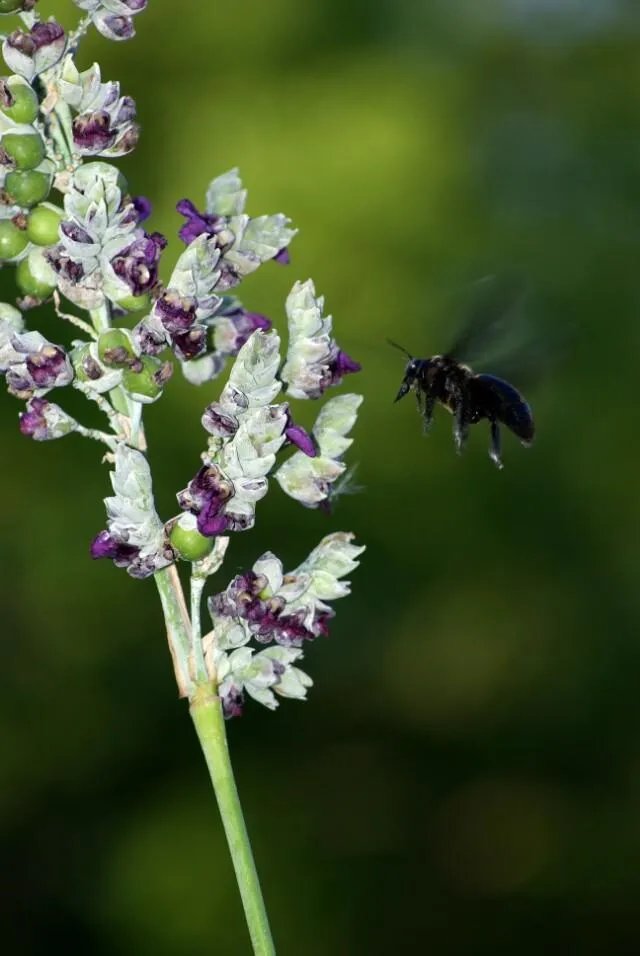 宾得单反相机怎么样？
