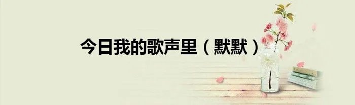 今日我的歌声里(默默)