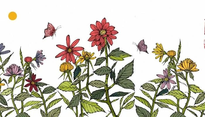 2021重阳节儿童画怎么画 一幅画漂亮简单的重阳节图画