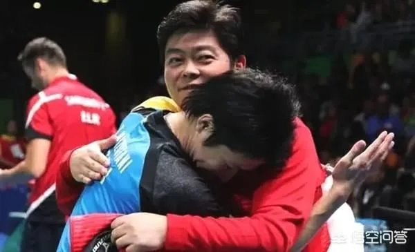 樊振东输张本智和