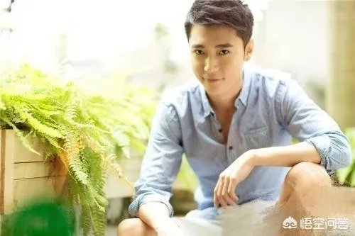 如何评价演员张丹峰?