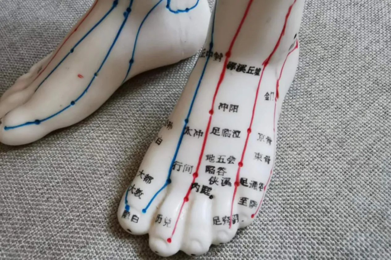 脚背上的经络图
