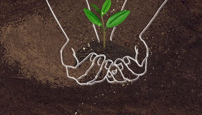 植树节的来历简写50字 植树节的由来简说