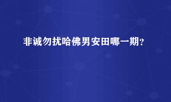非诚勿扰哈佛男安田哪一期？