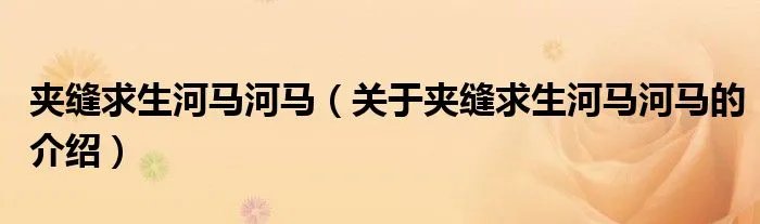 夹缝求生河马河马（关于夹缝求生河马河马的介绍）