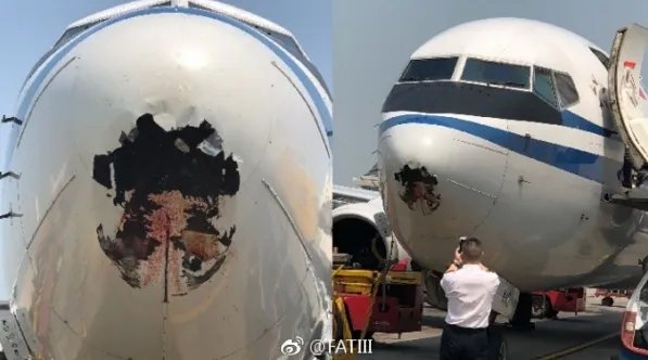 一国航赴港客机遭鸟击事件有最新消息了吗？