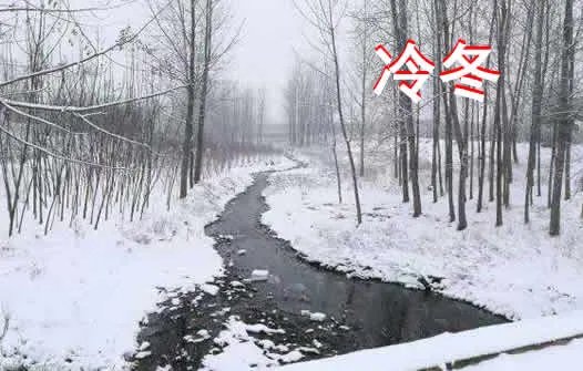 今冬冷冬概率为零:这究竟是什么情况?