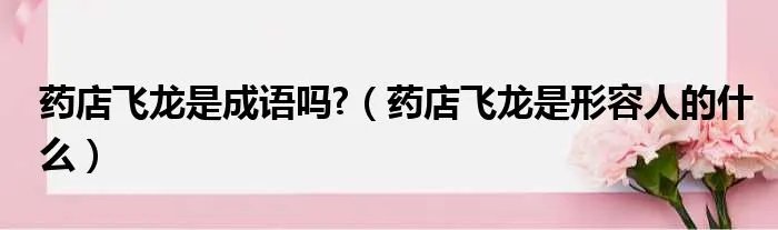 药店飞龙是成语吗?（药店飞龙是形容人的什么）