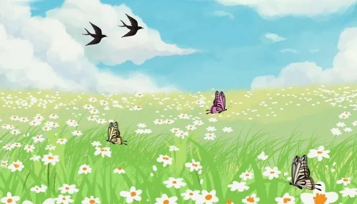 6.5世界环境日的内容