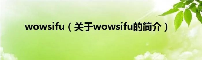 wowsifu（关于wowsifu的简介）