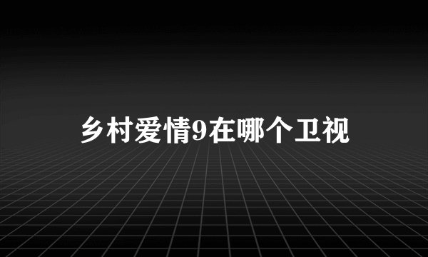 乡村爱情9在哪个卫视