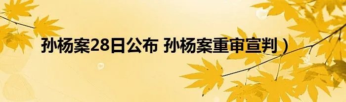 孙杨案28日公布 孙杨案重审宣判）