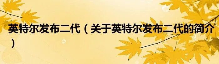 英特尔发布二代（关于英特尔发布二代的简介）