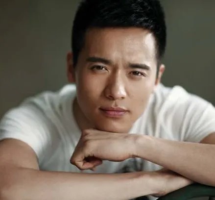 饶敏莉高云翔被曝已离婚 曝女方为演安心磨骨整容