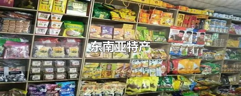 东南亚特产