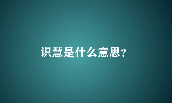 识慧是什么意思？