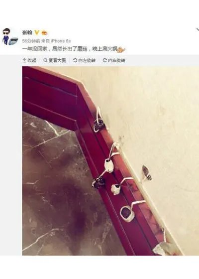 张翰家门长蘑菇 网友喊娜扎一起吃