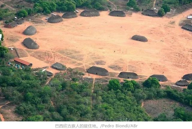 巴西总统和特朗普到底有没有被感染新冠病毒？