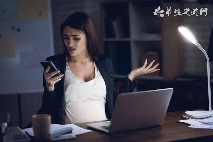 如何照顾怀孕的老鼠