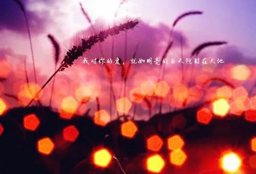 闪婚之后养个总裁当老公唐初露陆寒时免费阅读