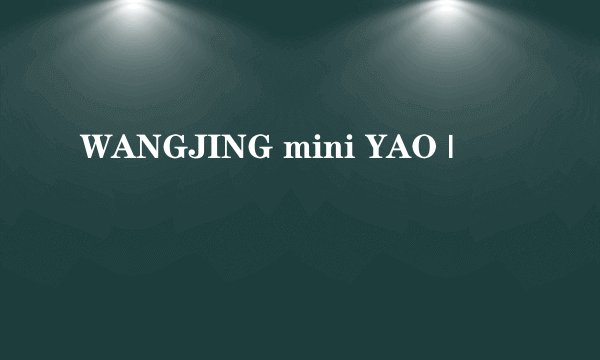 WANGJING mini YAO |