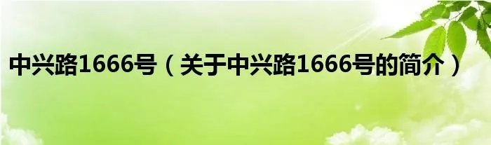 中兴路1666号（关于中兴路1666号的简介）