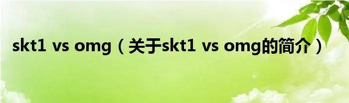 skt1 vs omg（关于skt1 vs omg的简介）
