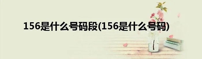 156是什么号码段(156是什么号码)