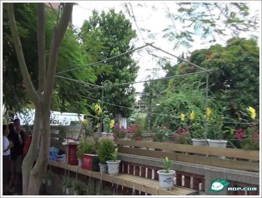 鼓浪屿一女子舌战城管：有种去保护钓鱼岛！