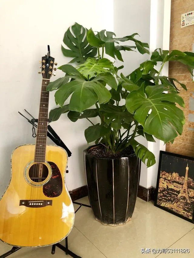 淘宝花店有没有推荐的？