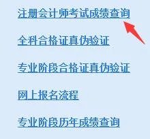 2017年CPA考试成绩什么时候查询？