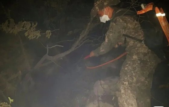 韩国萨德部署地附近山头突发大火是什么原因呢?